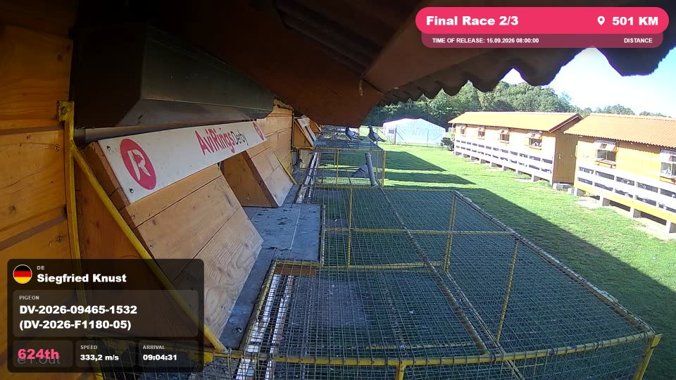 Pigeon Arrival Image For Race Final Race 2/3