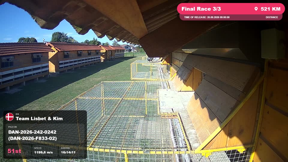 Pigeon Arrival Image For Race Final Race 3/3