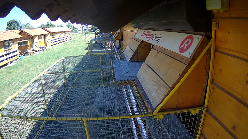 Pigeon Arrival Image For Race Race 3