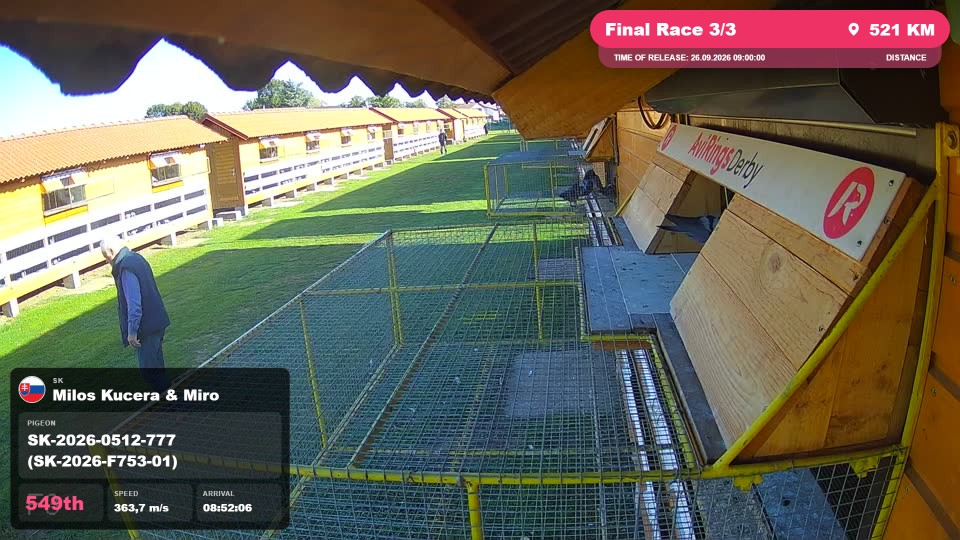 Pigeon Arrival Image For Race Final Race 3/3