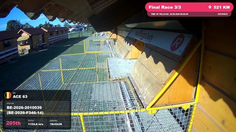 Pigeon Arrival Image For Race Final Race 3/3