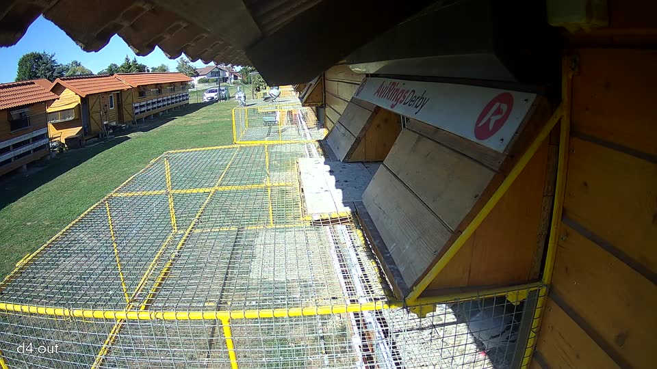 Pigeon Arrival Image For Race Final Race 1/3