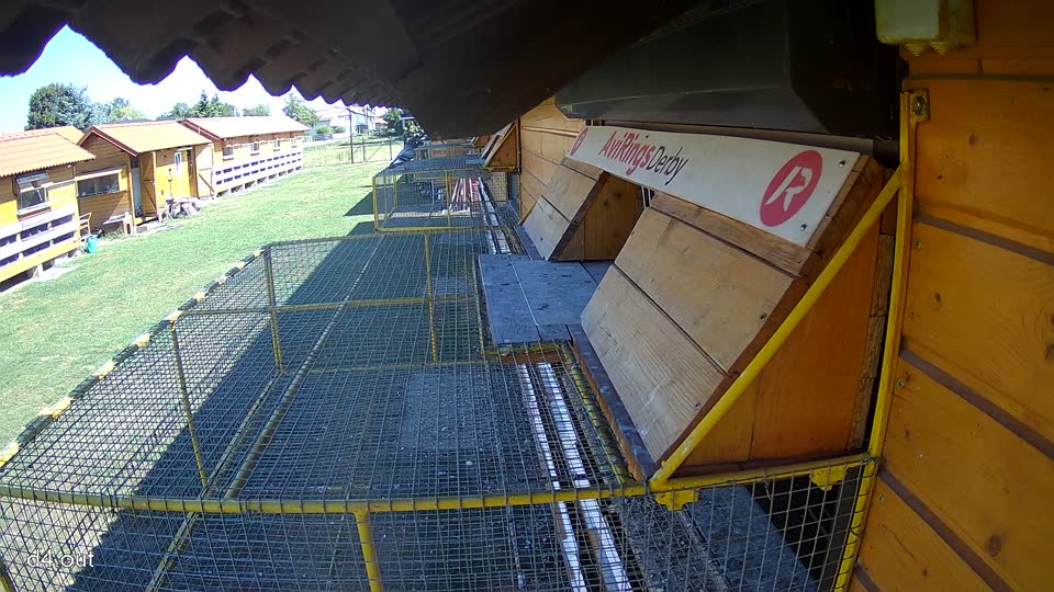 Pigeon Arrival Image For Race Race 3