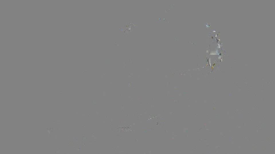 Pigeon Arrival Image For Race Race 2
