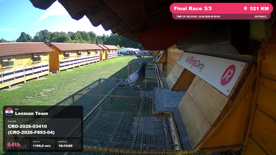 Pigeon Arrival Image For Race Final Race 3/3