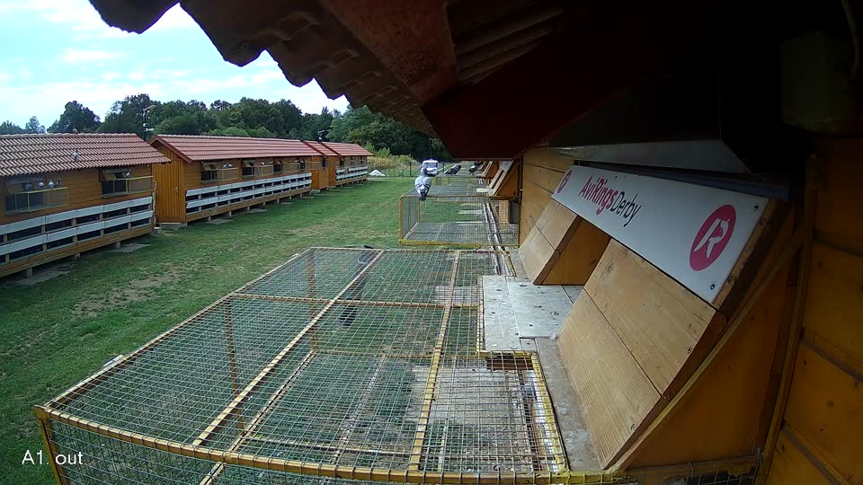 Pigeon Arrival Image For Race Race 4