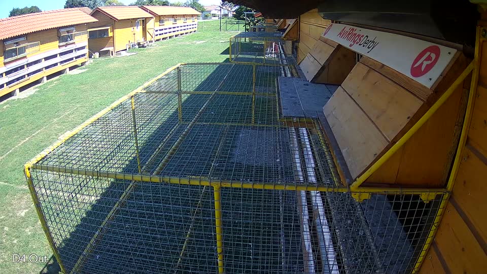 Pigeon Arrival Image For Race Race 2