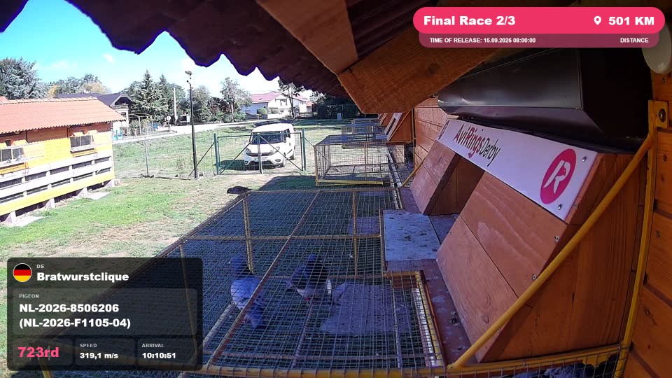 Pigeon Arrival Image For Race Final Race 2/3