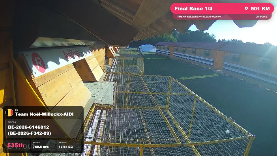 Pigeon Arrival Image For Race Final Race 1/3