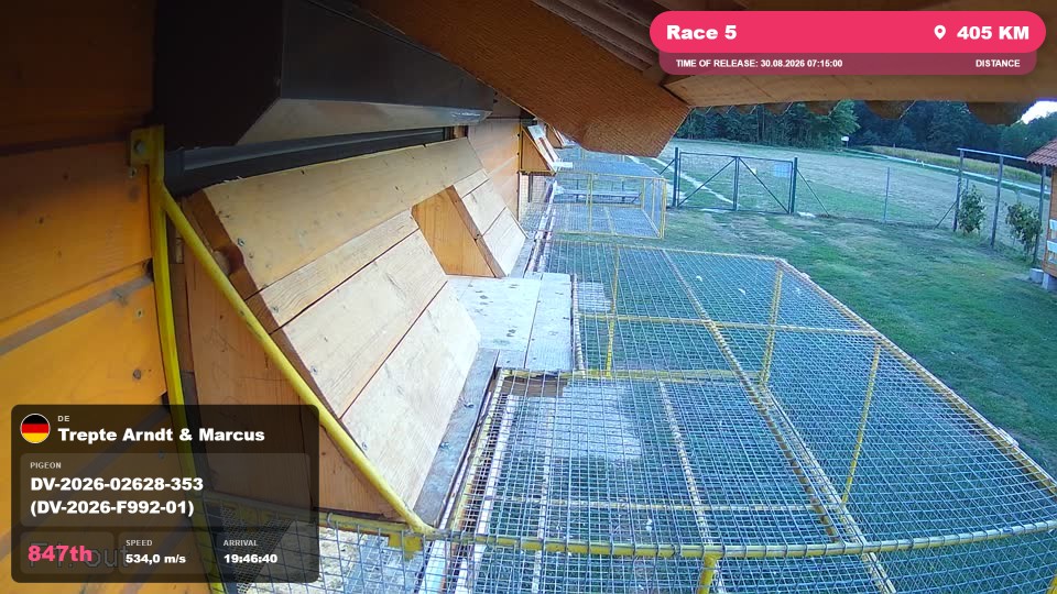 Pigeon Arrival Image For Race Race 5