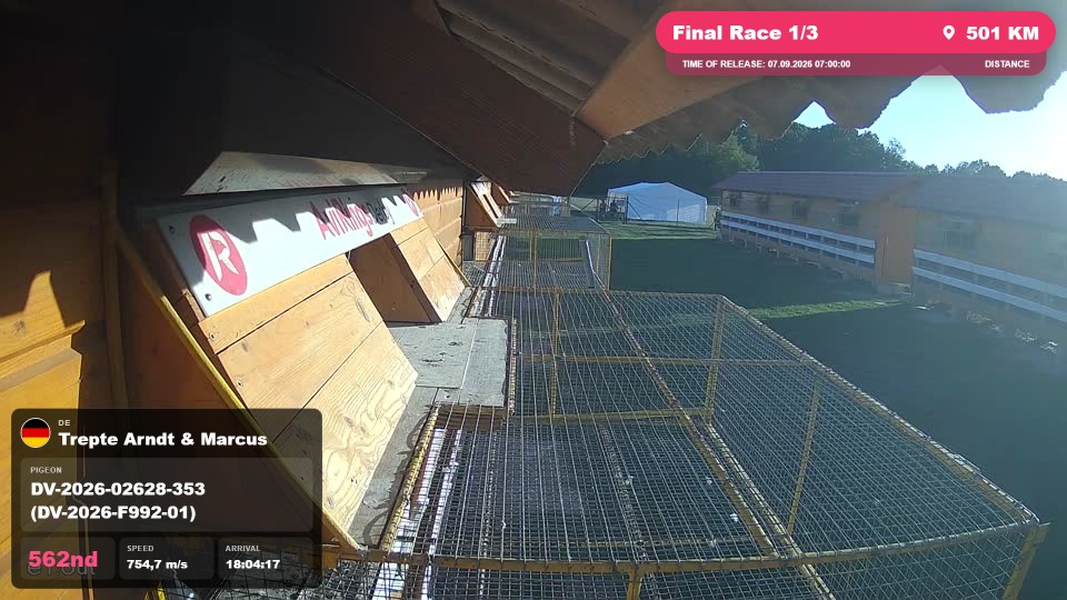 Pigeon Arrival Image For Race Final Race 1/3