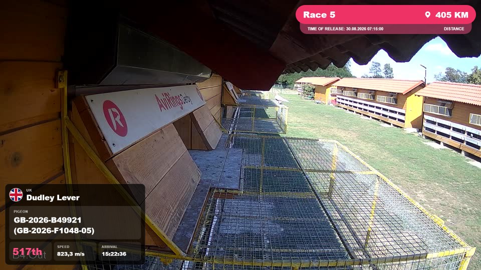 Pigeon Arrival Image For Race Race 5