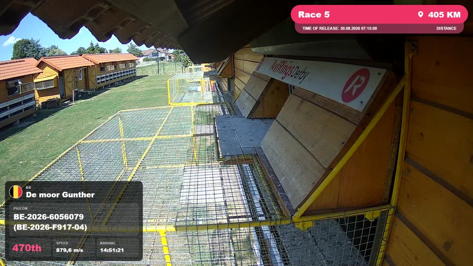 Pigeon Arrival Image For Race Race 5