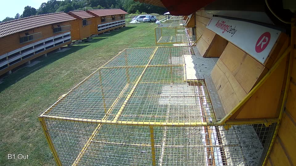 Pigeon Arrival Image For Race Race 4