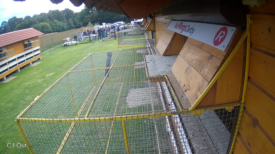 Pigeon Arrival Image For Race Final race 3