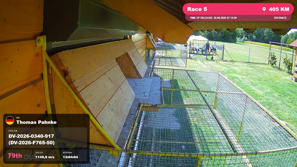 Pigeon Arrival Image For Race Race 5