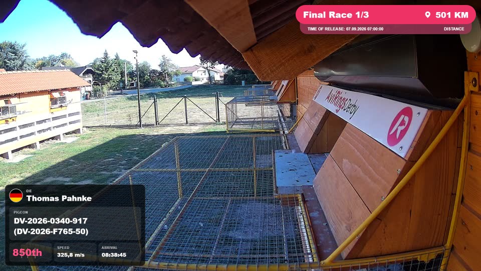 Pigeon Arrival Image For Race Final Race 1/3