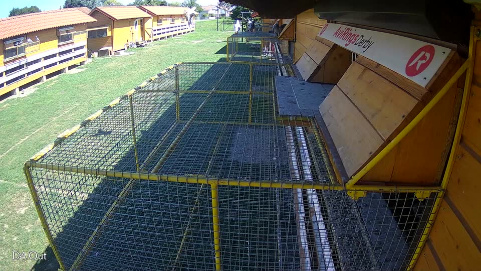 Pigeon Arrival Image For Race Race 2