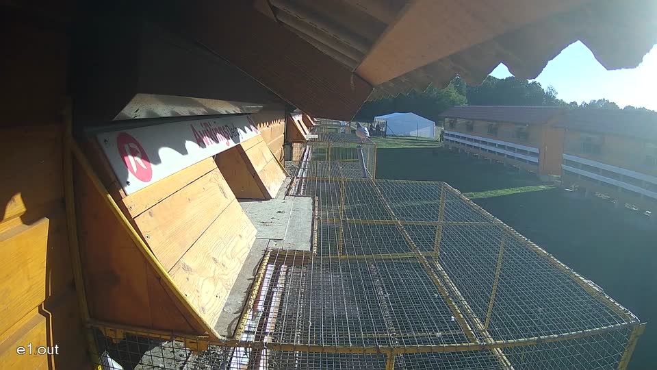 Pigeon Arrival Image For Race Final Race 1/3