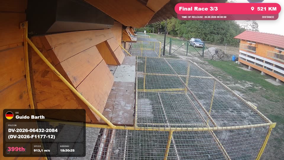 Pigeon Arrival Image For Race Final Race 3/3