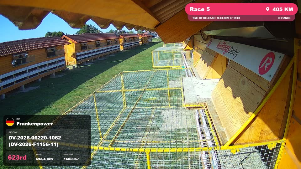 Pigeon Arrival Image For Race Race 5