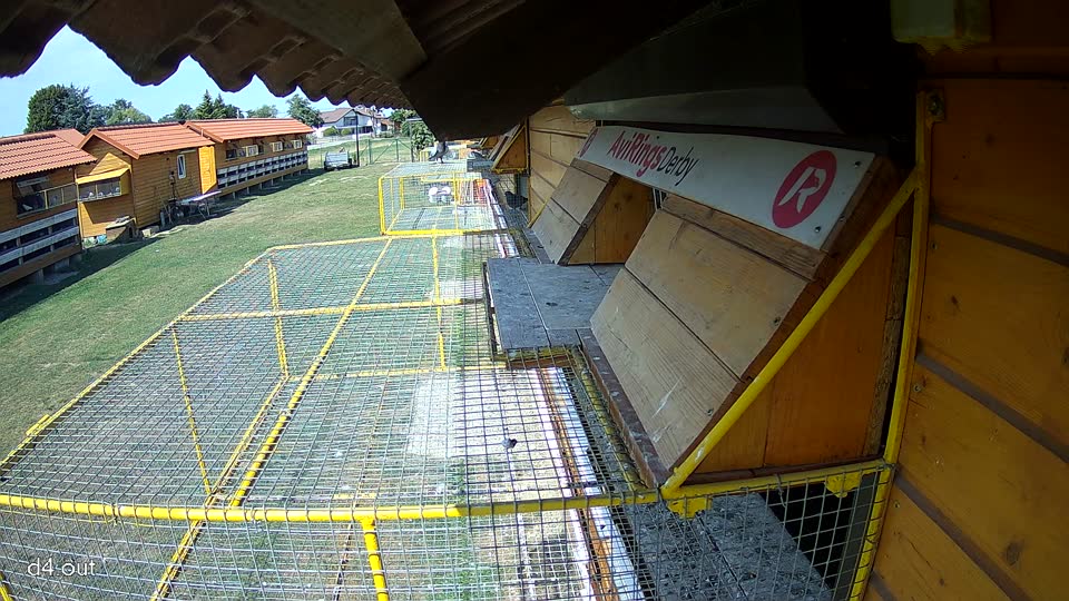 Pigeon Arrival Image For Race Race 1