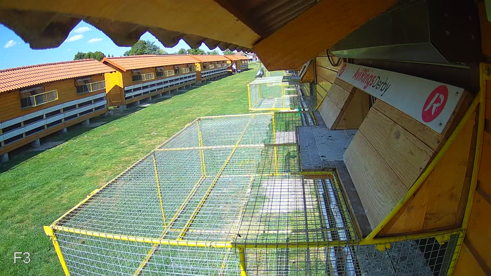 Pigeon Arrival Image For Race Race 5