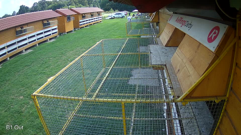 Pigeon Arrival Image For Race Final race 1