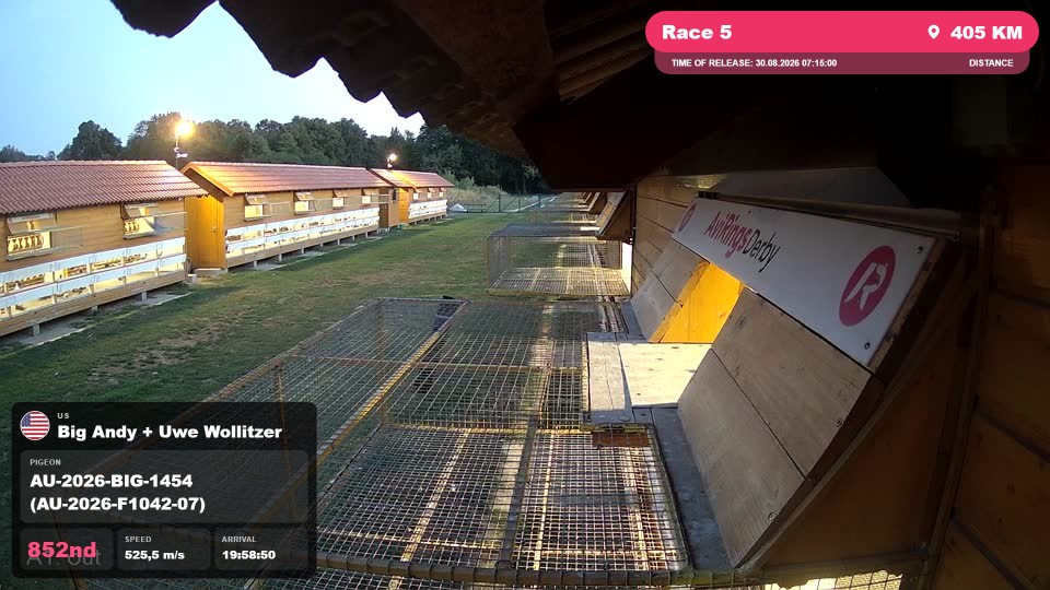 Pigeon Arrival Image For Race Race 5