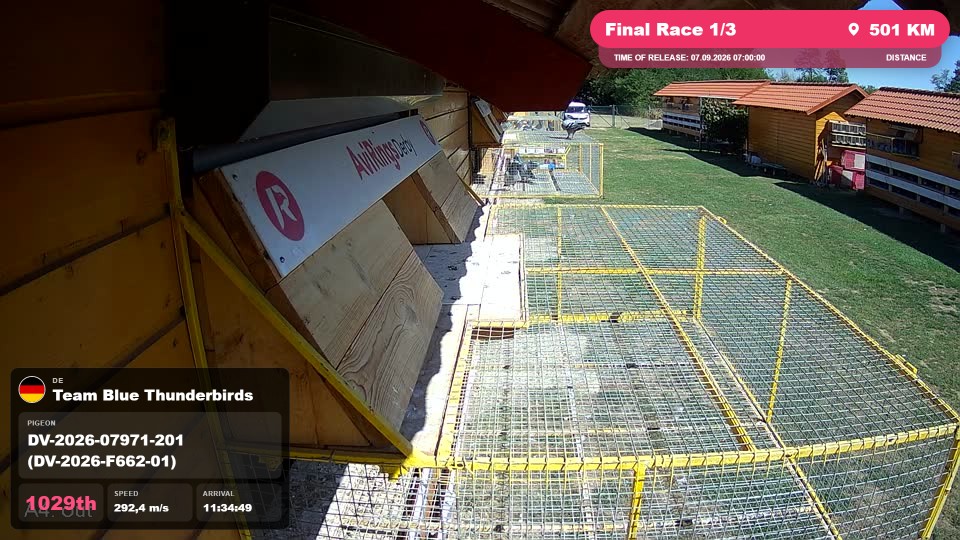 Pigeon Arrival Image For Race Final Race 1/3