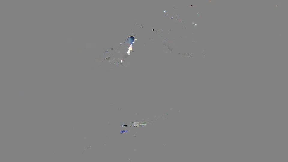 Pigeon Arrival Image For Race Race 2