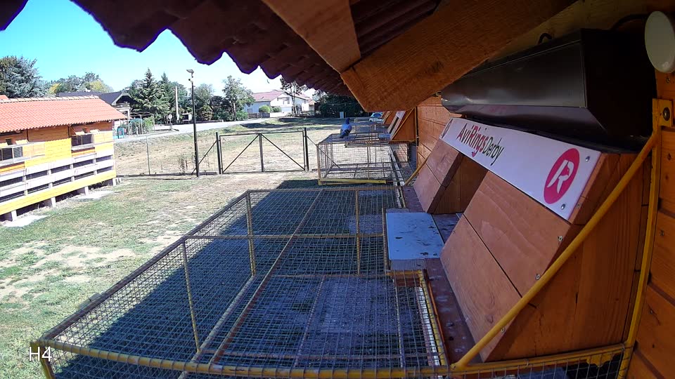Pigeon Arrival Image For Race Race 3