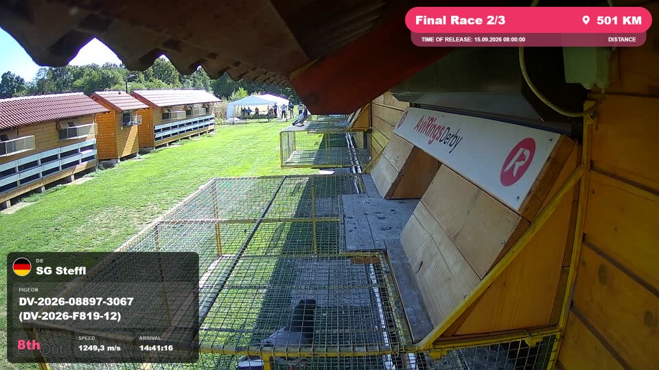 Pigeon Arrival Image For Race Final Race 2/3