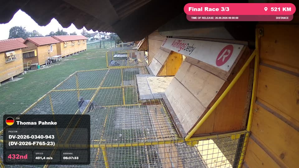 Pigeon Arrival Image For Race Final Race 3/3