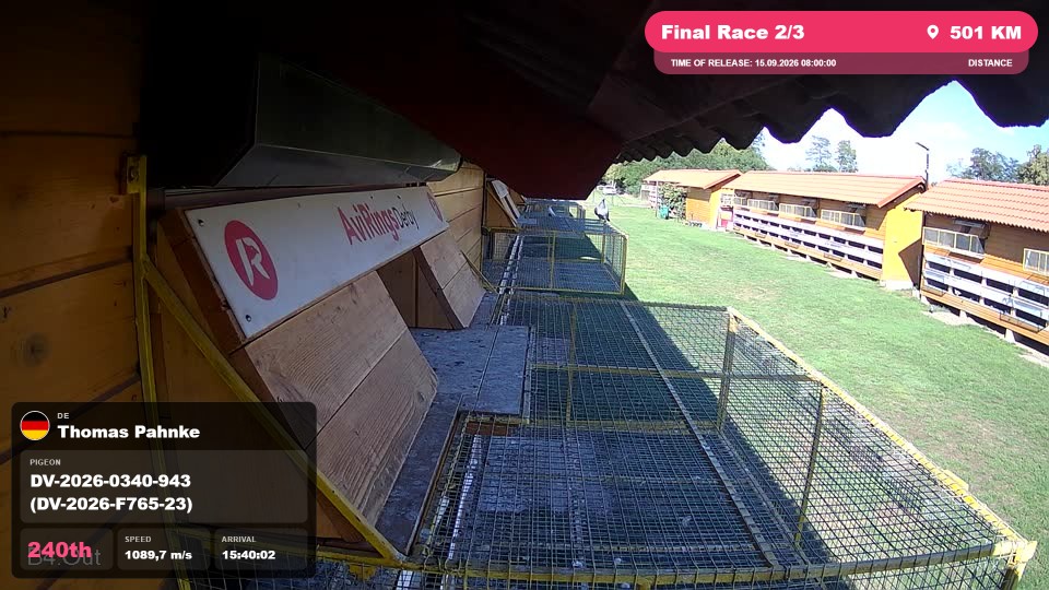Pigeon Arrival Image For Race Final Race 2/3