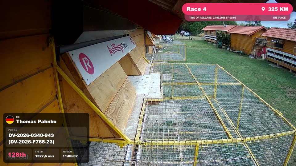 Pigeon Arrival Image For Race Race 4
