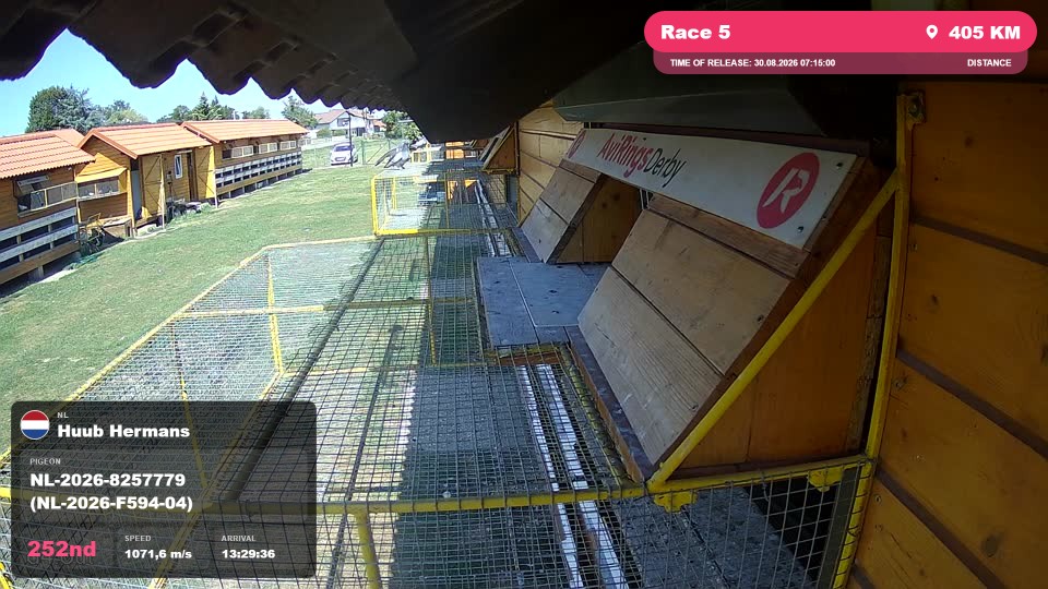 Pigeon Arrival Image For Race Race 5