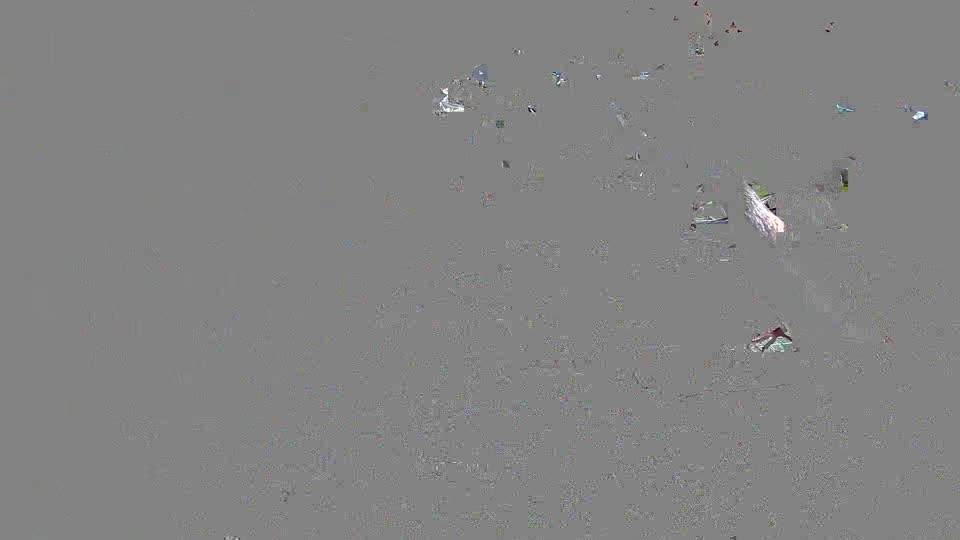 Pigeon Arrival Image For Race Race 2