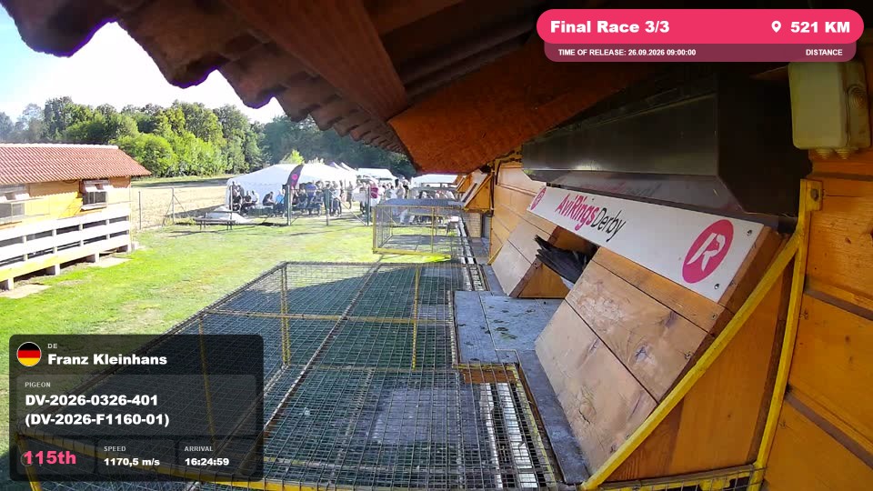 Pigeon Arrival Image For Race Final Race 3/3