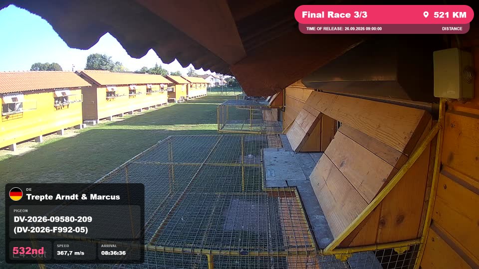 Pigeon Arrival Image For Race Final Race 3/3