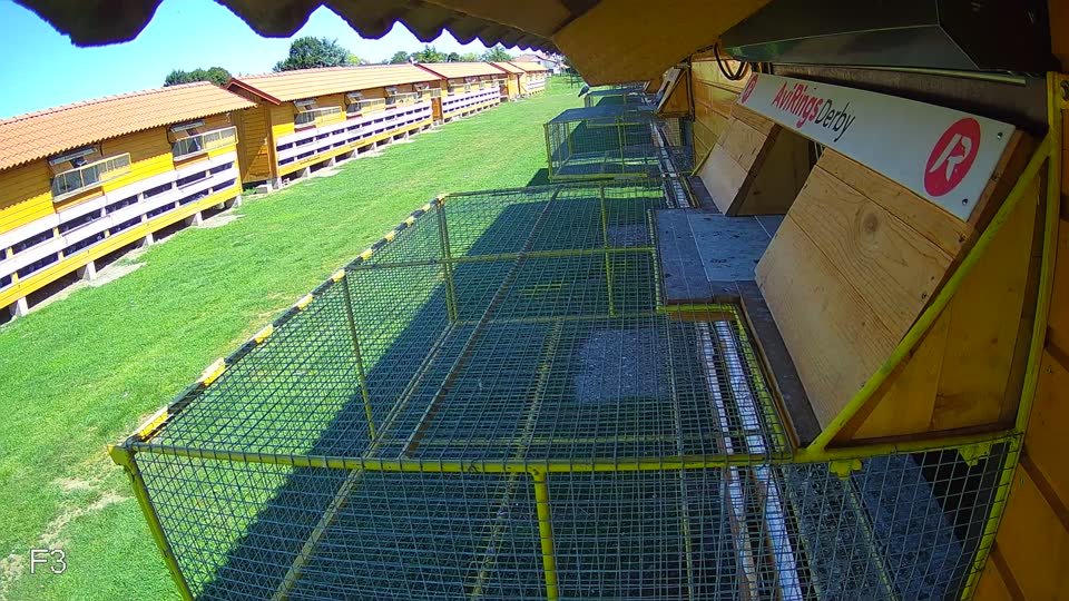Pigeon Arrival Image For Race Race 2