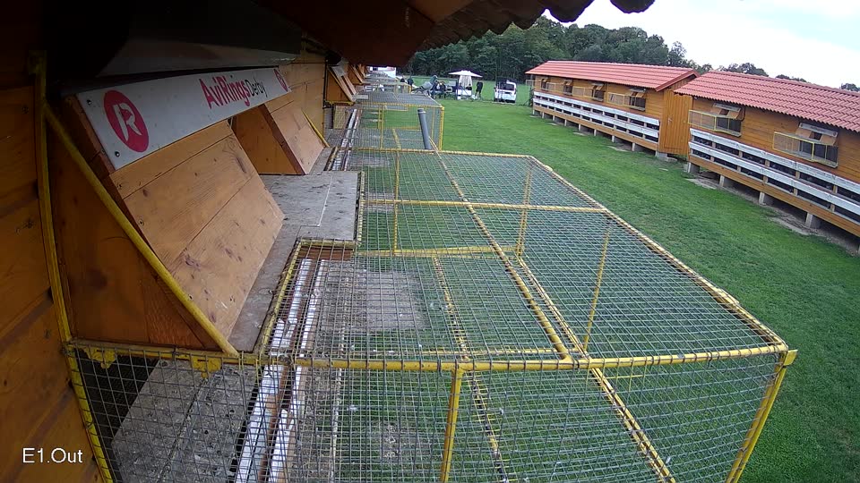 Pigeon Arrival Image For Race Final race 2