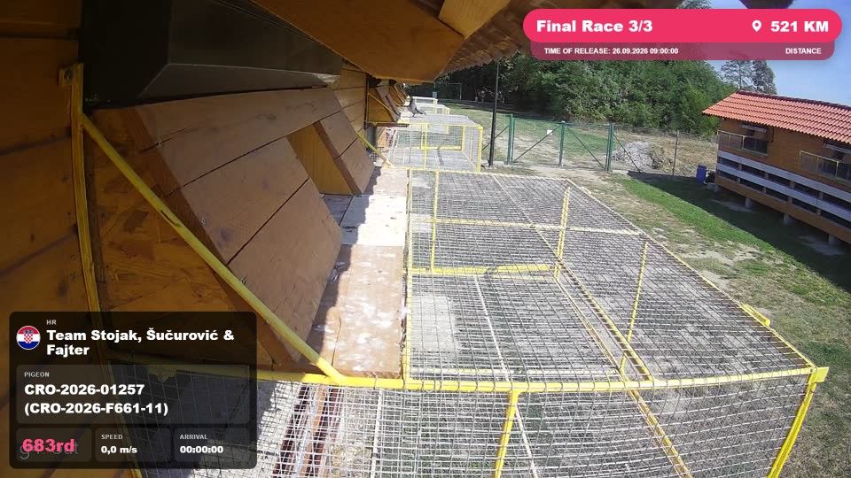 Pigeon Arrival Image For Race Final Race 3/3