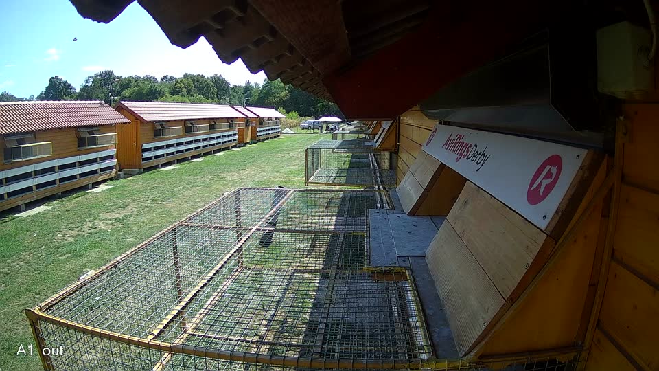 Pigeon Arrival Image For Race Race 5