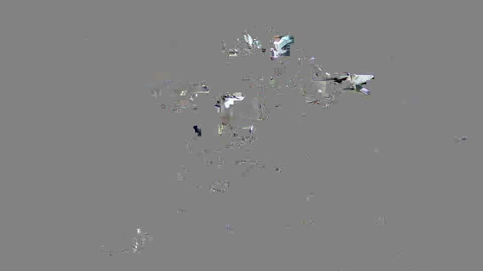 Pigeon Arrival Image For Race Race 2