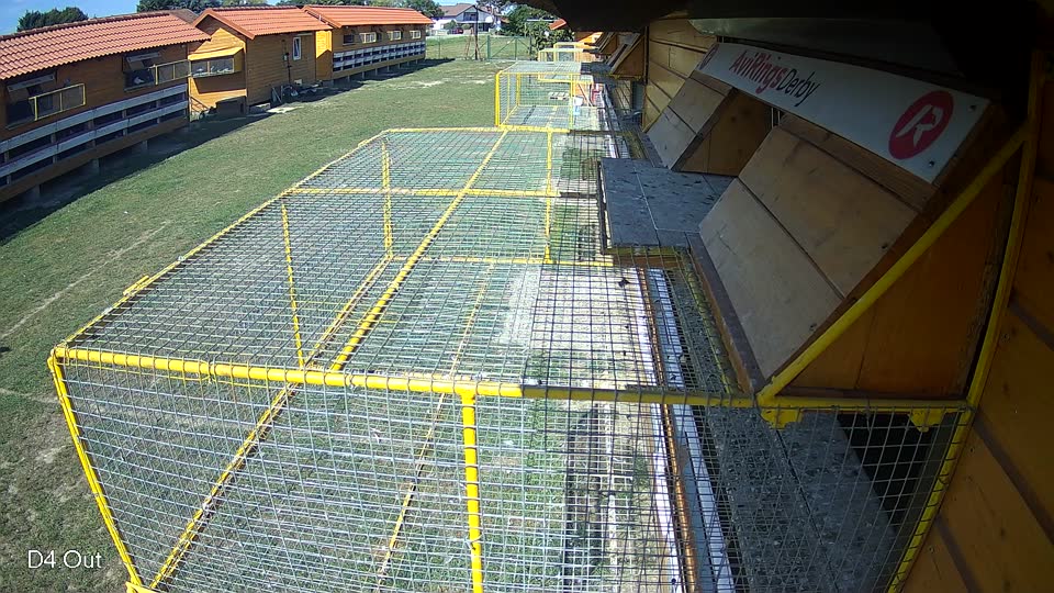 Pigeon Arrival Image For Race Race 5