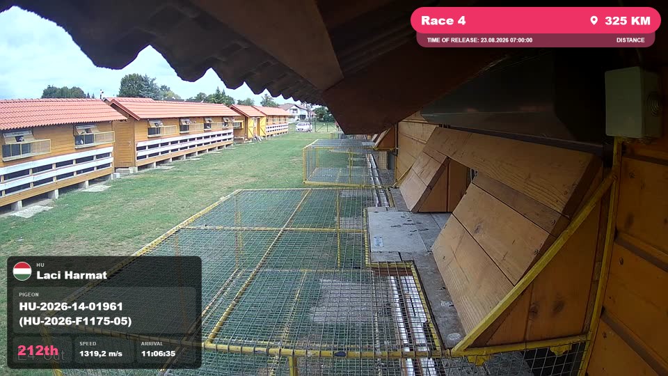 Pigeon Arrival Image For Race Race 4
