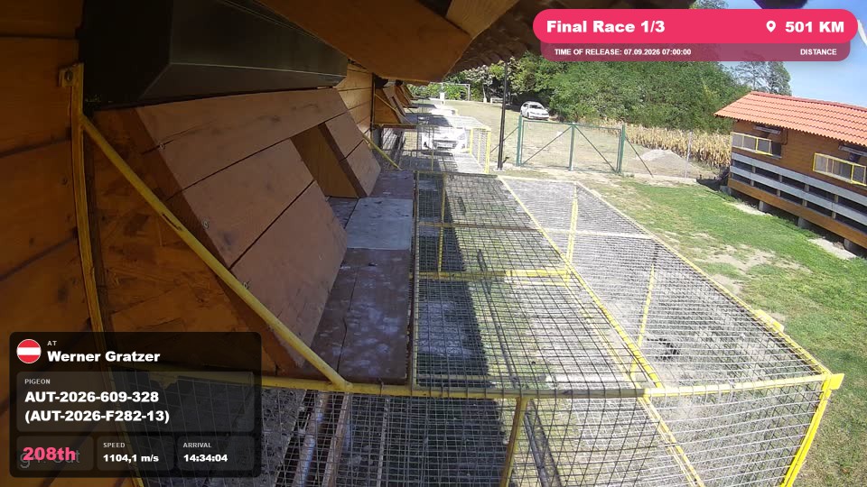 Pigeon Arrival Image For Race Final Race 1/3