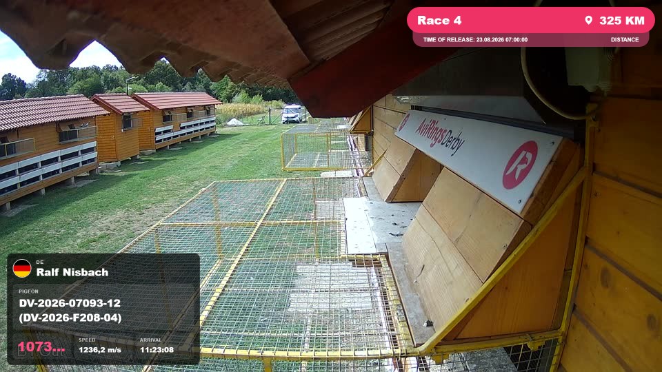 Pigeon Arrival Image For Race Race 4