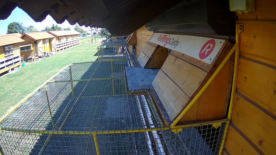Pigeon Arrival Image For Race Race 3